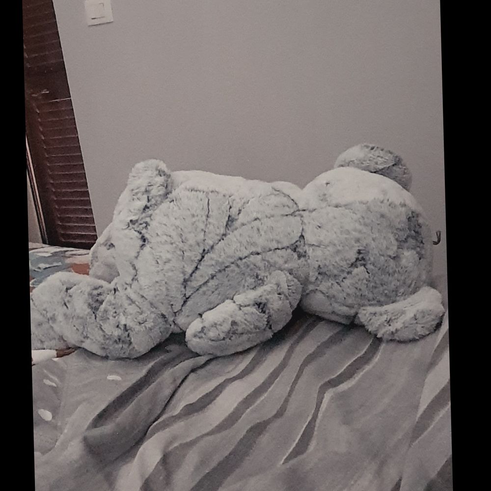 gengioxxx OnlyFans profile picture