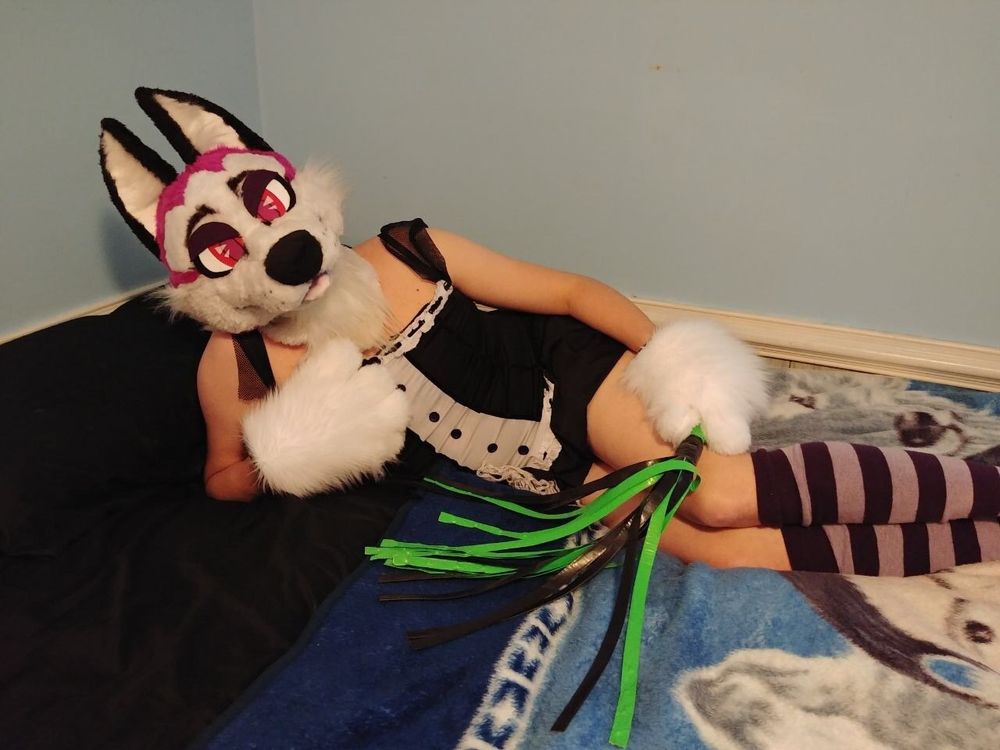 dazzlethefox OnlyFans profile picture