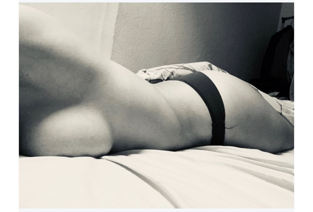 honigmitzitrone OnlyFans profile picture