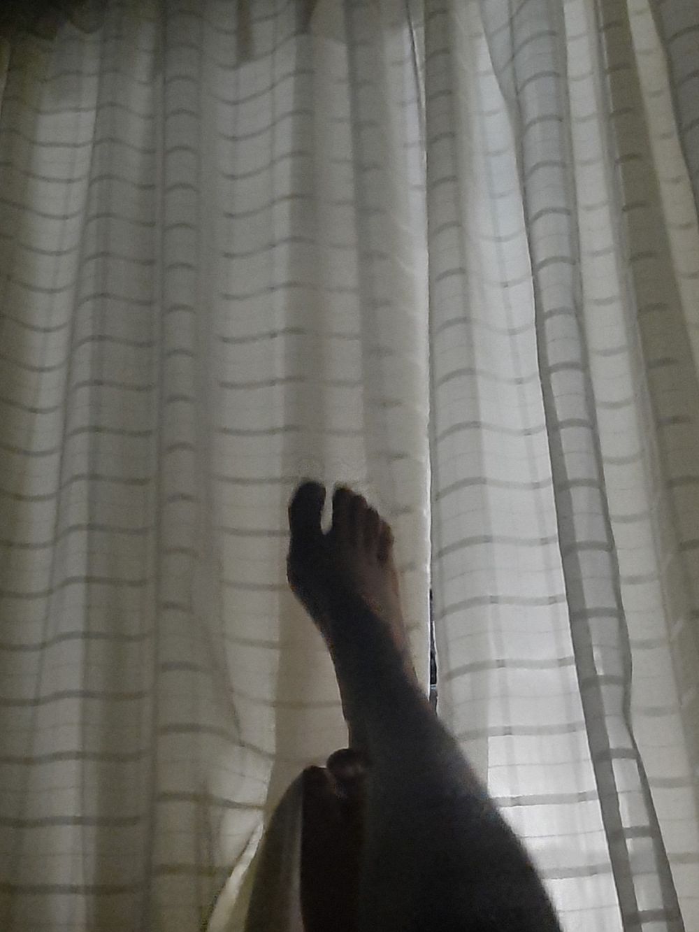 lulilumex OnlyFans profile picture
