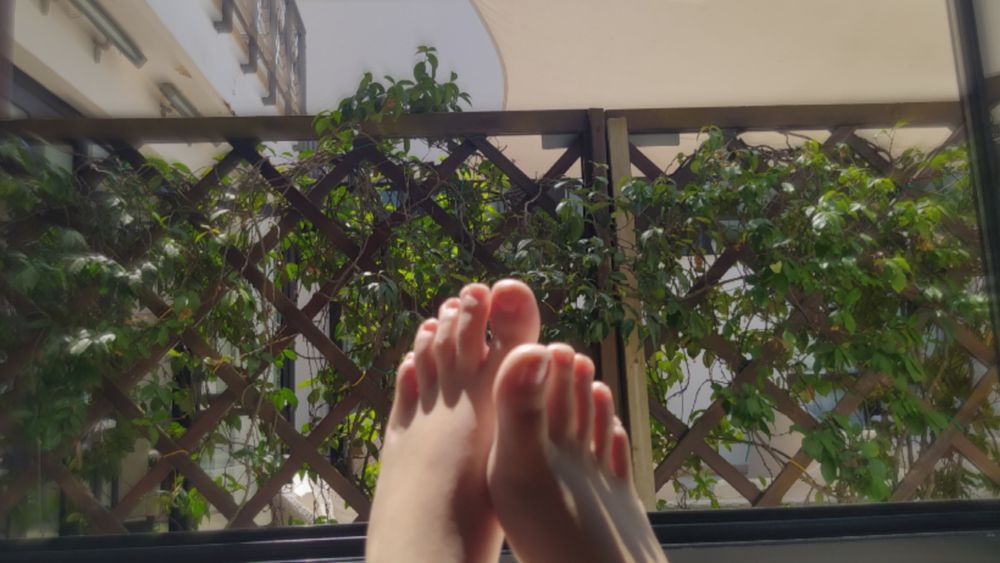 orantemantis OnlyFans profile picture