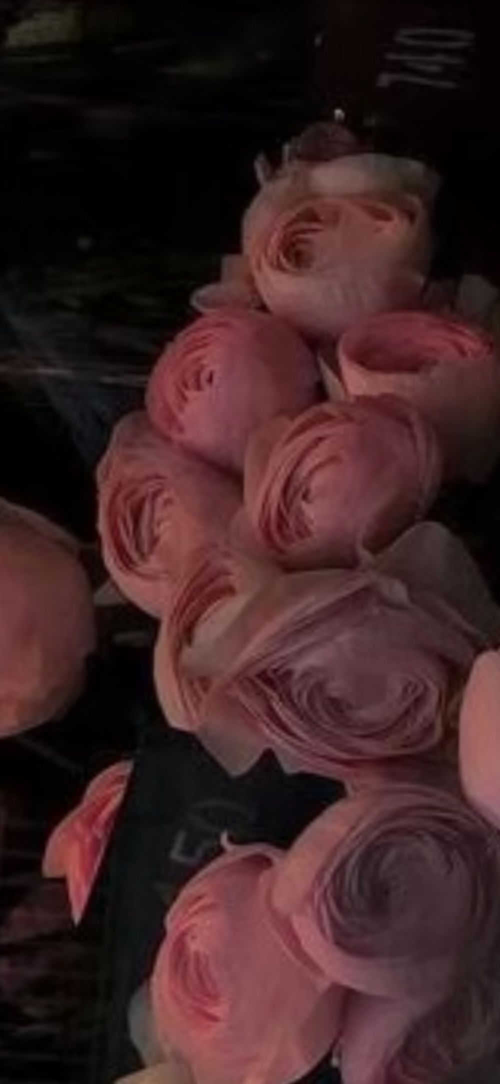 tsangelinaxo OnlyFans profile picture