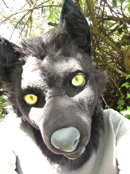 breedthewolf1 OnlyFans picture