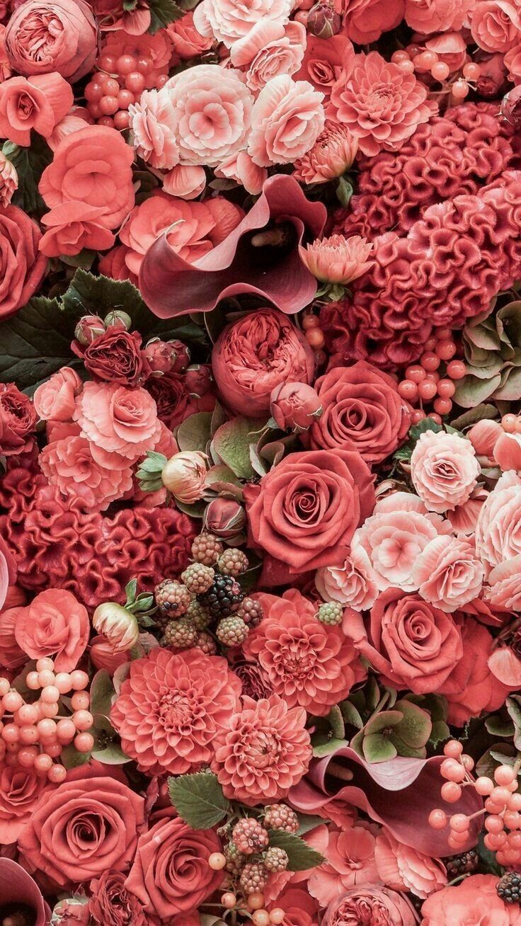420flowergirl OnlyFans profile picture