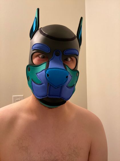 pup_orion OnlyFans picture