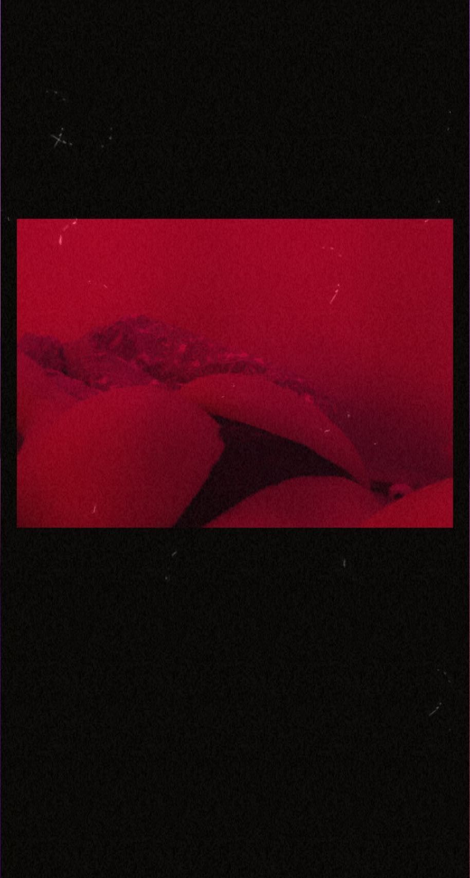 vilmamariaa OnlyFans profile picture