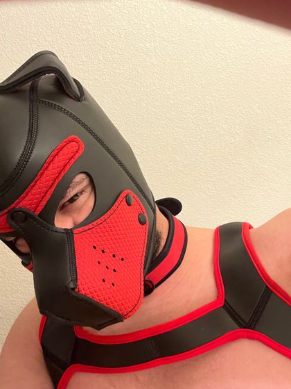 mepupzilla2000 OnlyFans picture