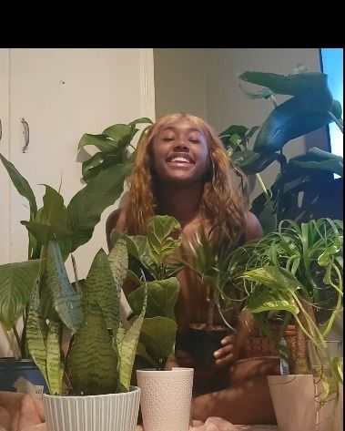 raebaerose OnlyFans profile picture