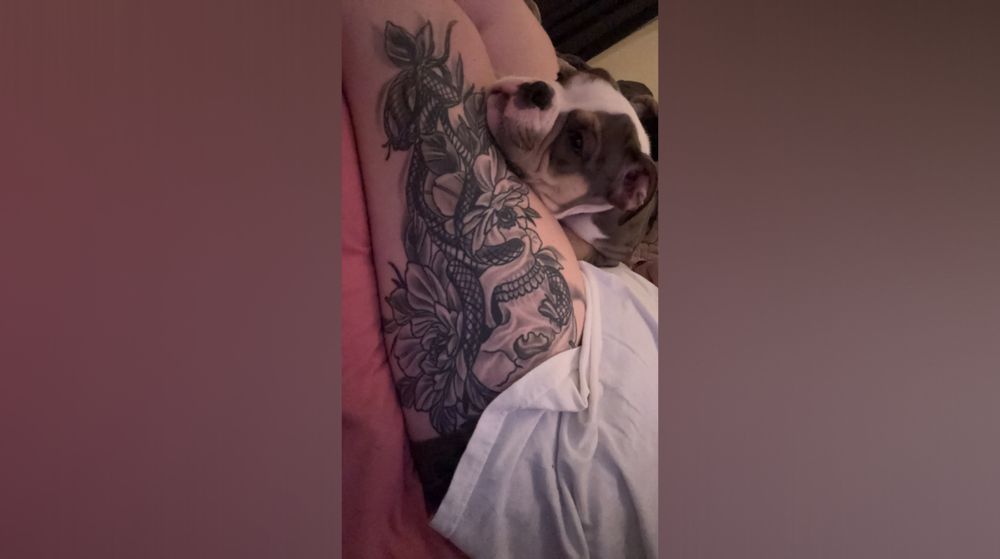 babyd228 OnlyFans profile picture