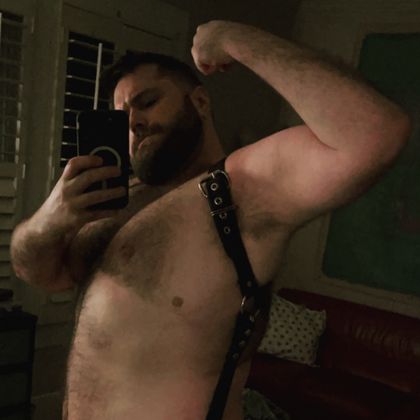bearis_hilton OnlyFans picture