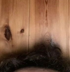 norwegianboy97 OnlyFans profile picture