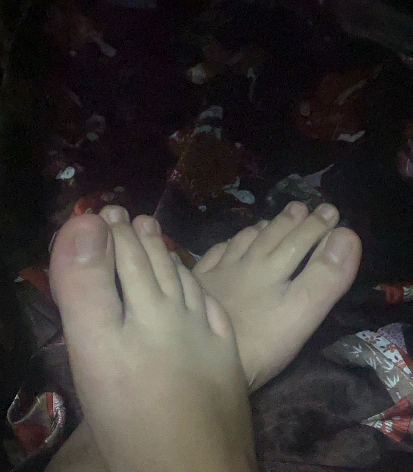 toyinglen OnlyFans profile picture