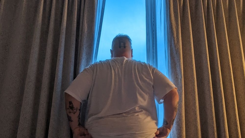 just_your_average_bear OnlyFans profile picture