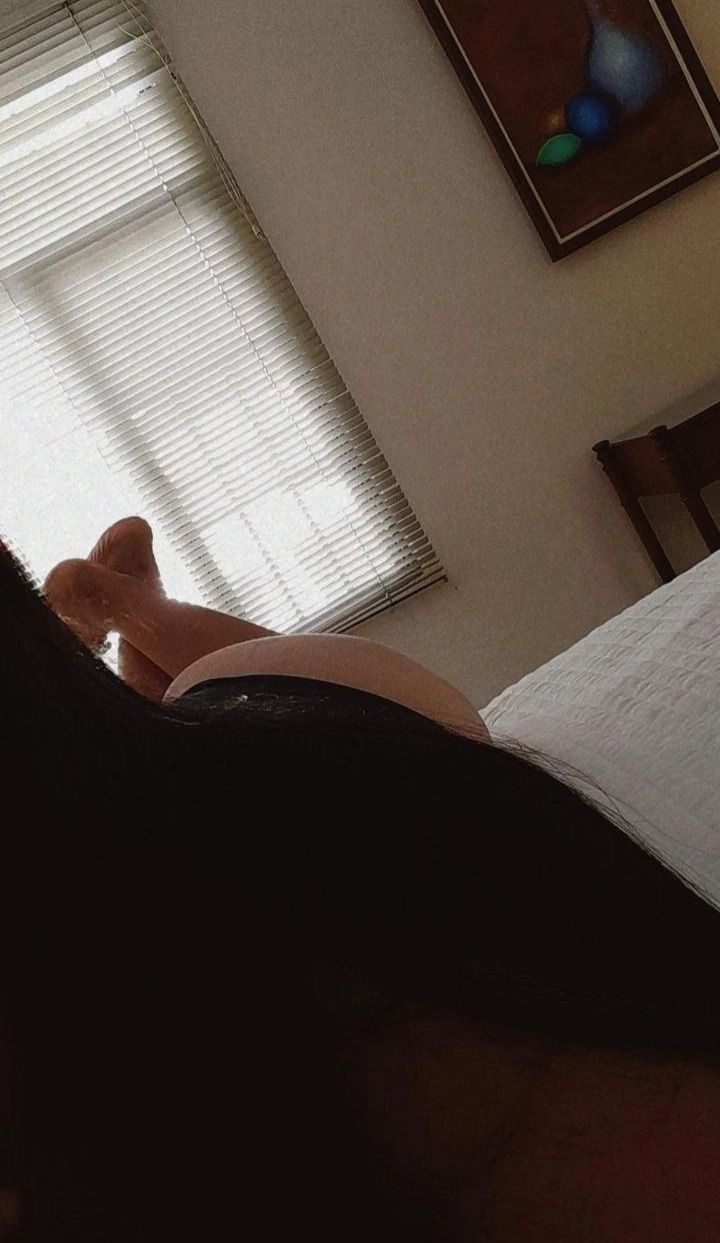 ferbel3225939714 OnlyFans profile picture