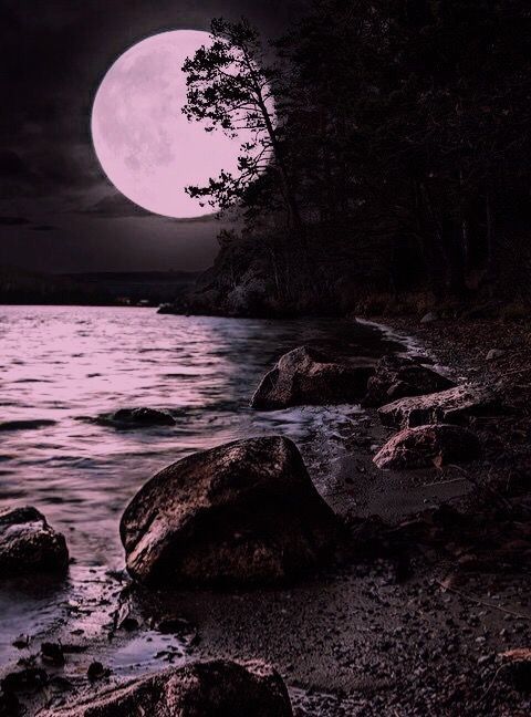 moonlightbaaby OnlyFans profile picture