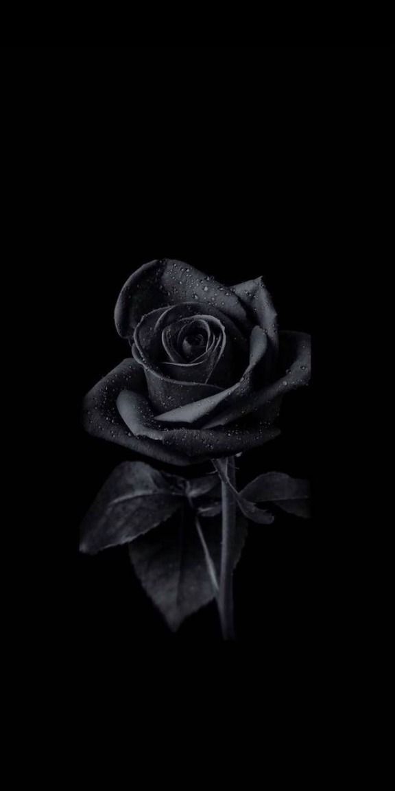u215322796 OnlyFans profile picture
