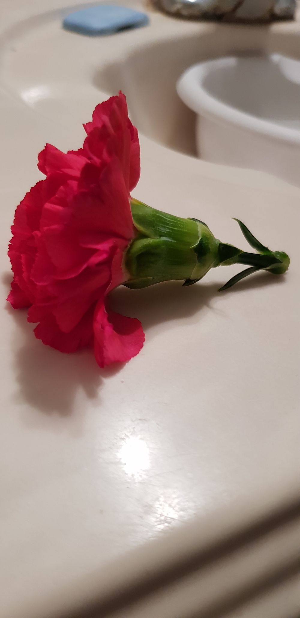 therealcandymay OnlyFans profile picture