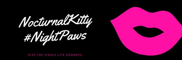 nocturnalkitty OnlyFans profile picture