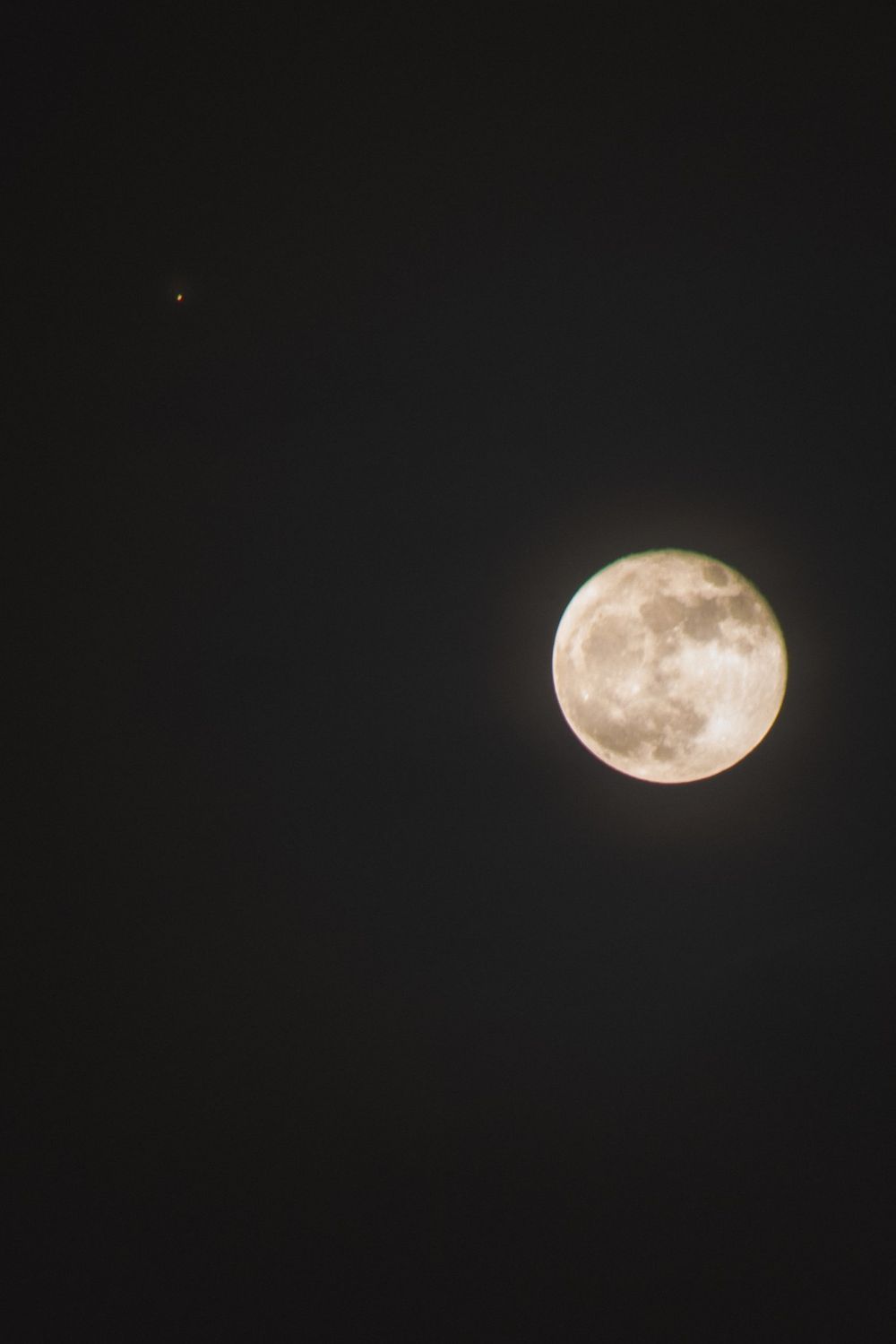 lunaxsam OnlyFans profile picture