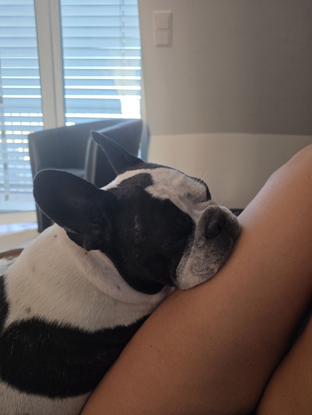 aeriaares OnlyFans profile picture