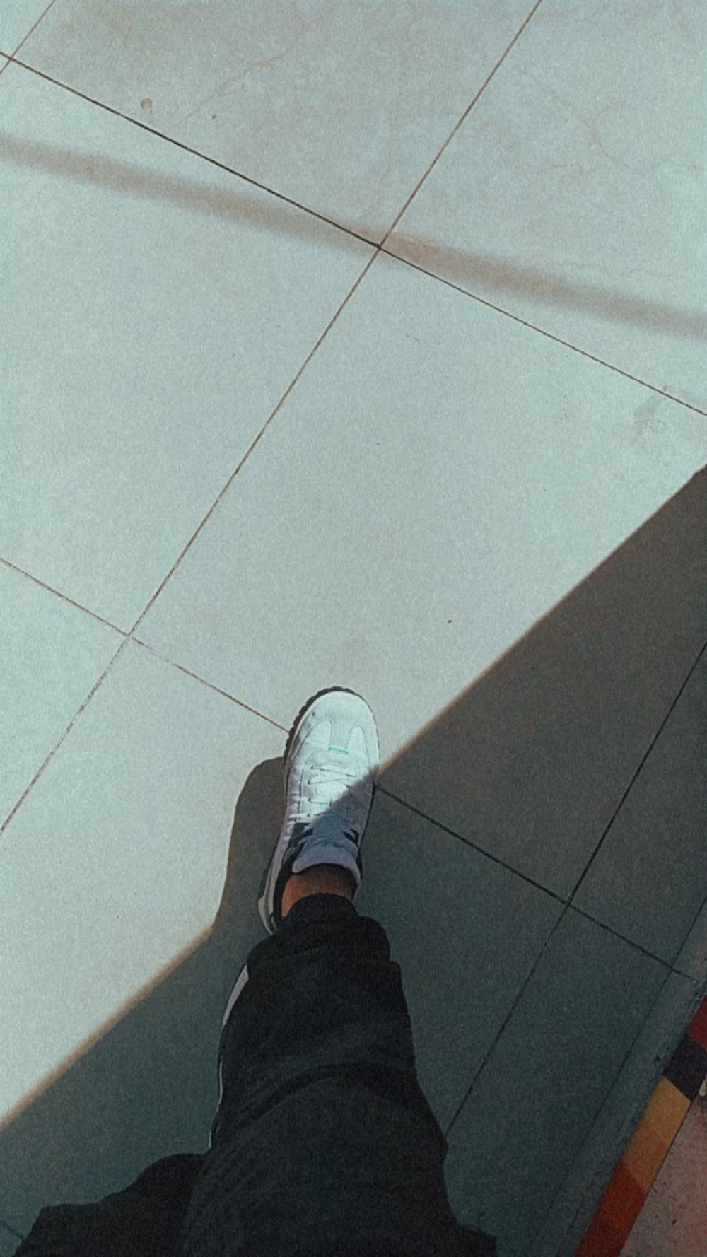 tellov OnlyFans profile picture