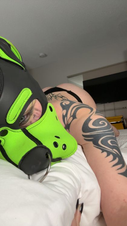 dumbservicemutt OnlyFans picture