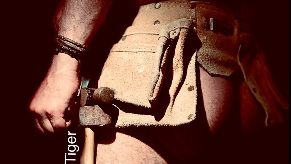 hellotheretiger OnlyFans profile picture