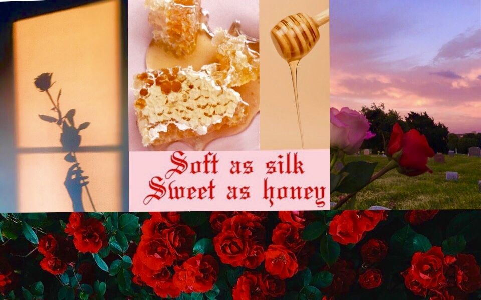 honey_roses OnlyFans profile picture