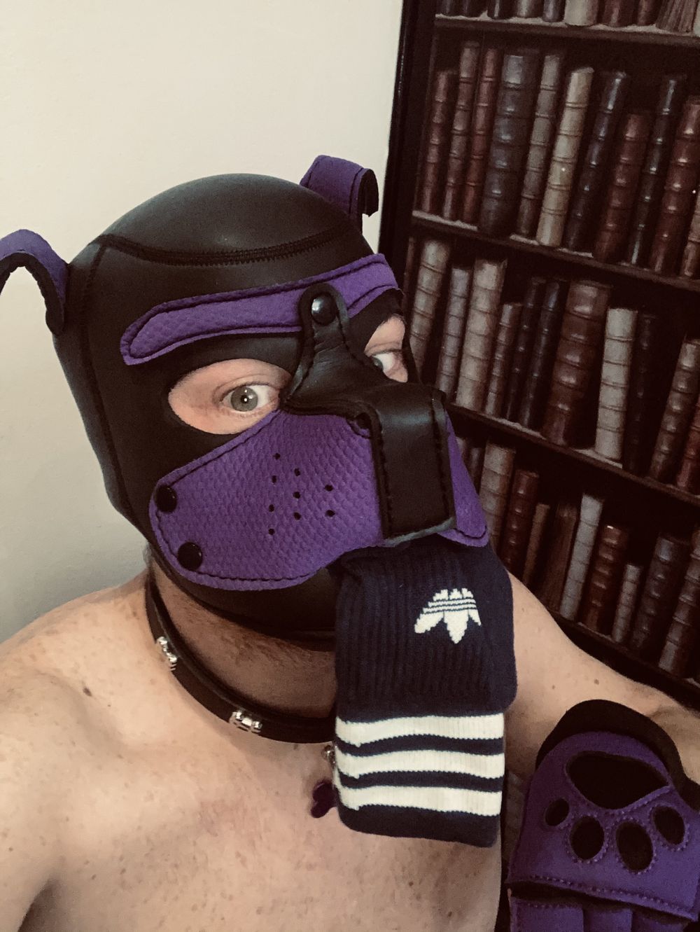 u173388508 OnlyFans profile picture