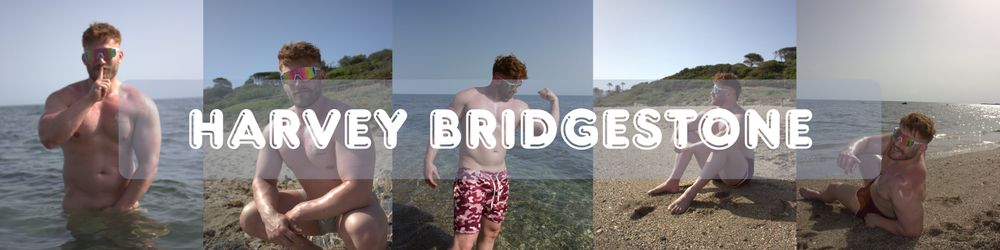 harveystonebridge OnlyFans profile picture