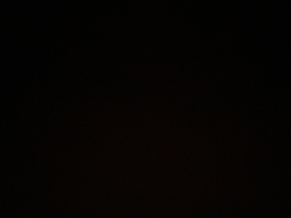 theycallherphoebe OnlyFans profile picture