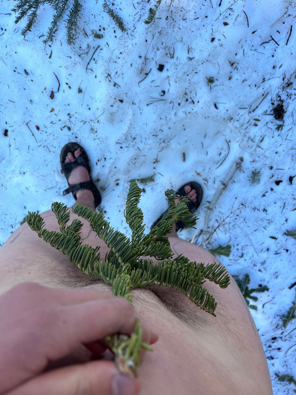 moontreepleasure OnlyFans profile picture