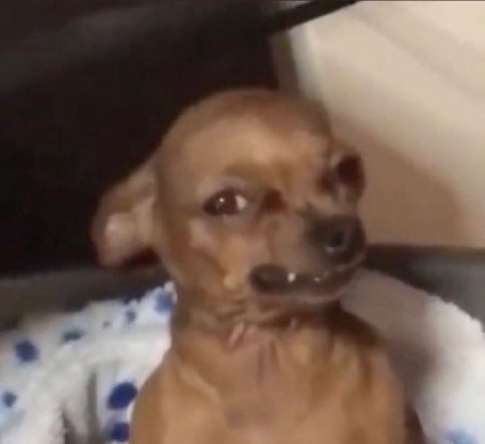 certifiedstunna OnlyFans profile picture