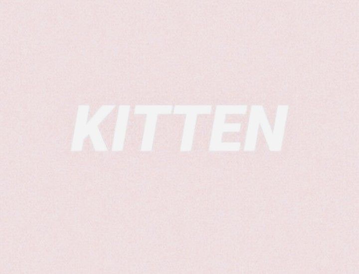 meowwwdarling OnlyFans profile picture