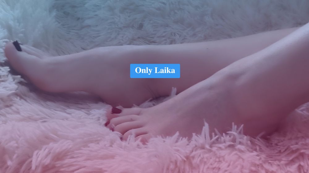 laikaonly OnlyFans profile picture