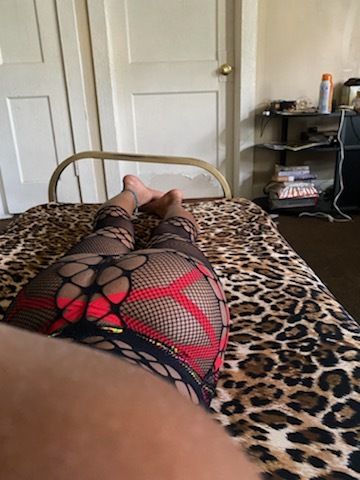 theroyalplayground OnlyFans profile picture