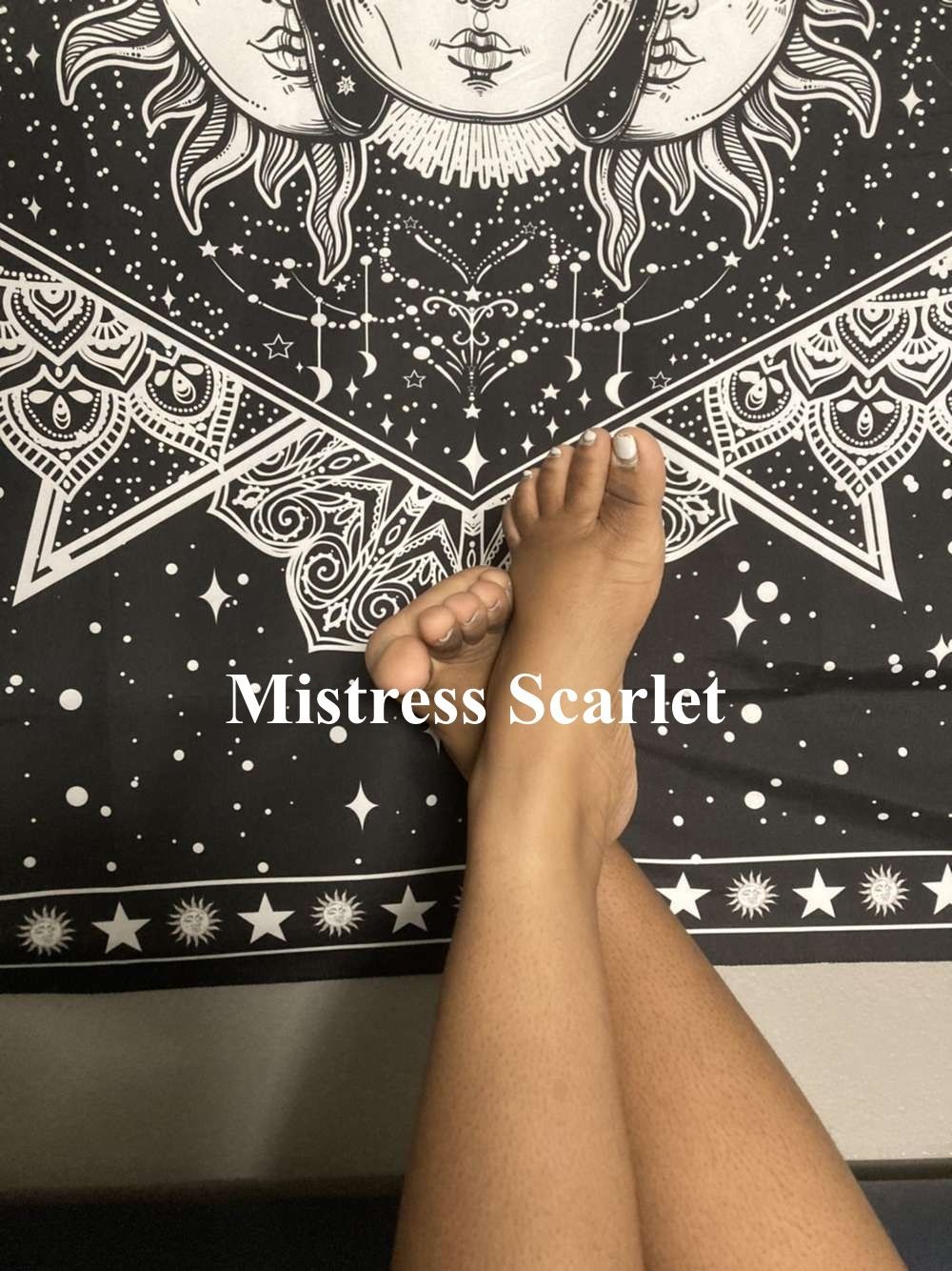 mst.scarlet OnlyFans profile picture