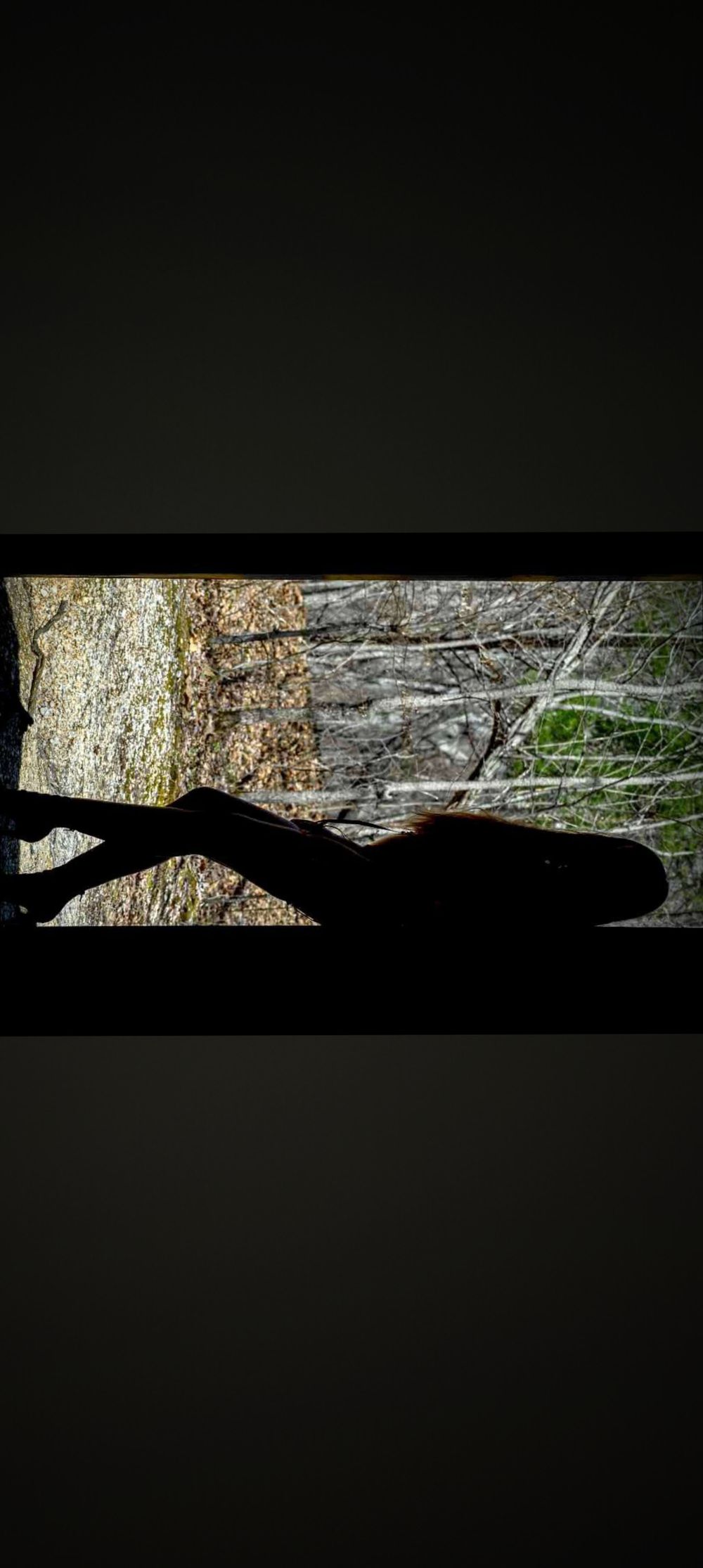 u289245582 OnlyFans profile picture