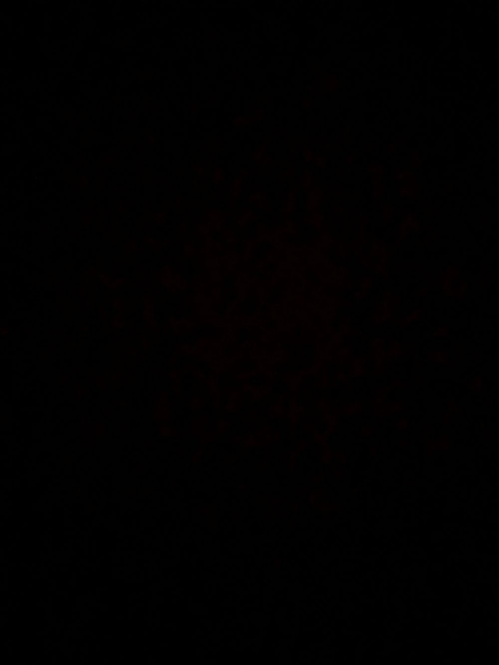 u99557744 OnlyFans profile picture