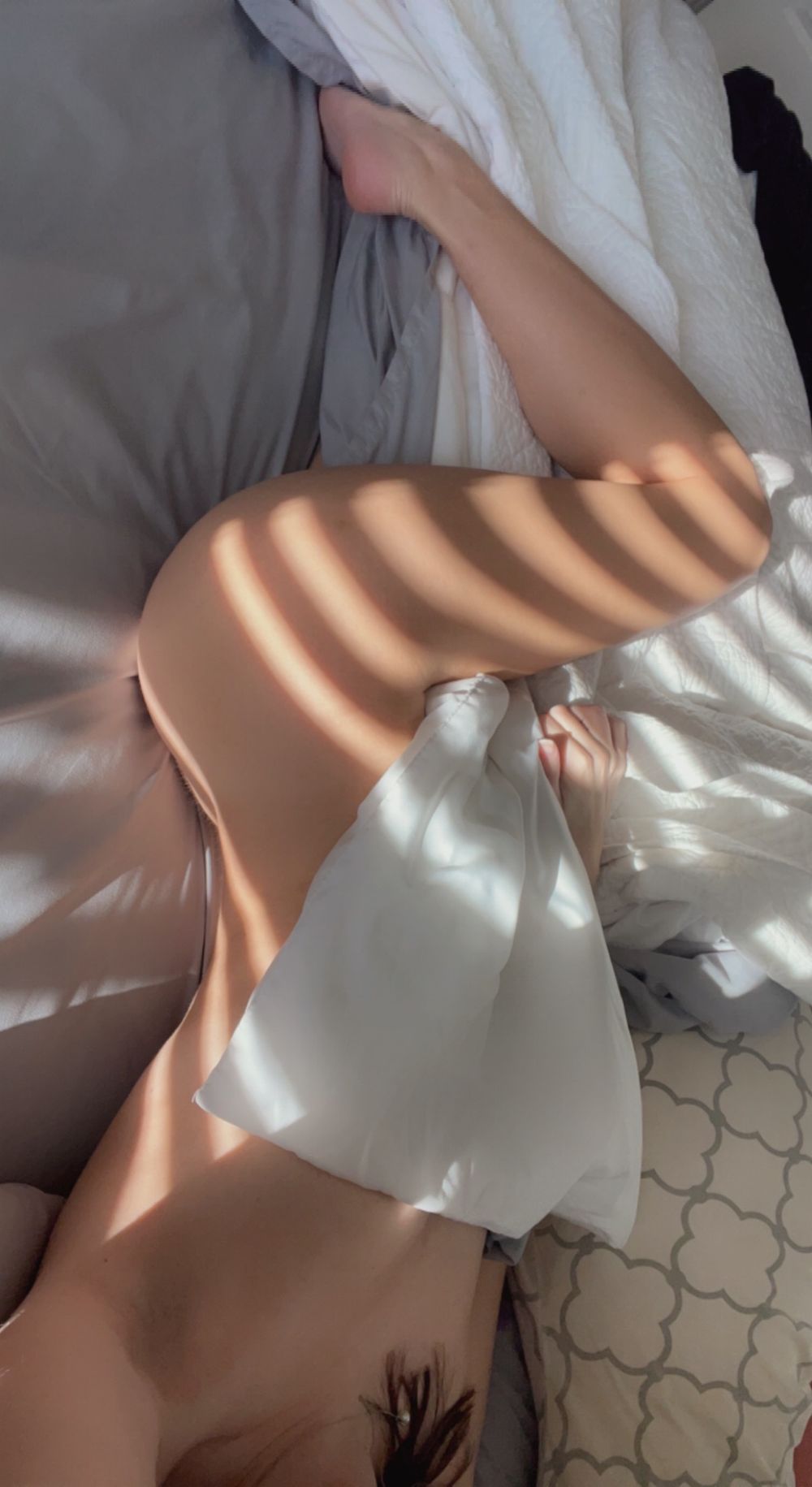 petthekitty OnlyFans profile picture