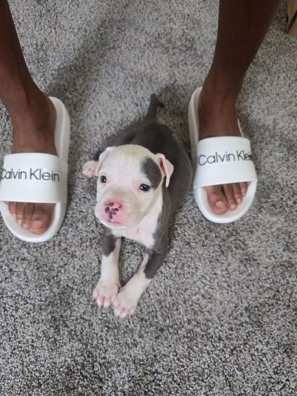 kaythekreator OnlyFans profile picture