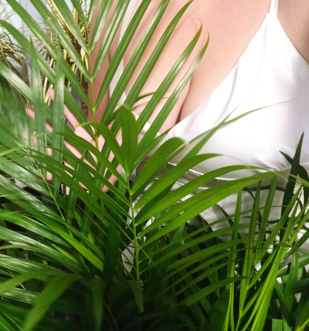 katieplants OnlyFans profile picture