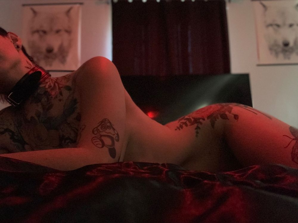rocketbunni69 OnlyFans profile picture