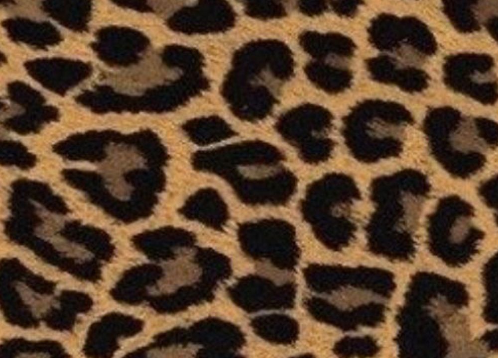 sinfullyyoursxoxo OnlyFans profile picture
