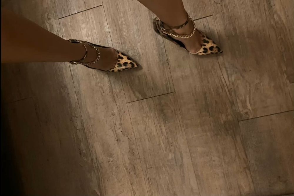 evelynrose4you OnlyFans profile picture