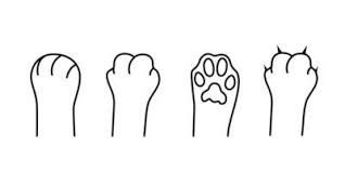 kittypawcentral OnlyFans profile picture