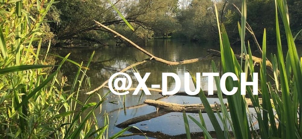 x-dutch OnlyFans profile picture