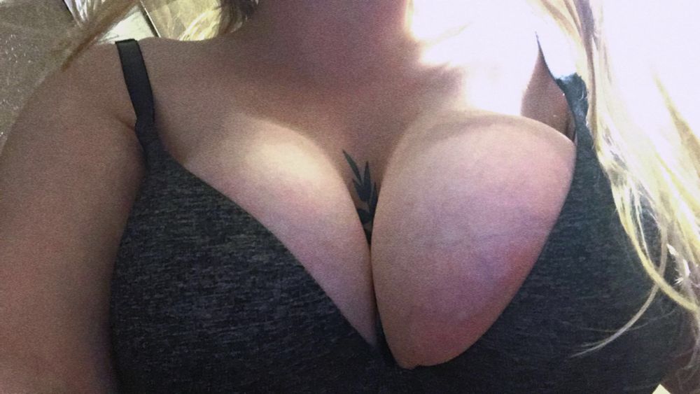 nerdypawg OnlyFans profile picture