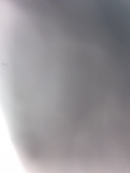 erharda OnlyFans picture