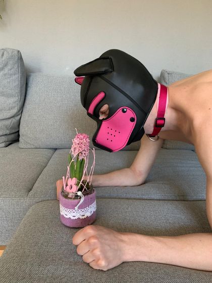 pup_ne OnlyFans picture